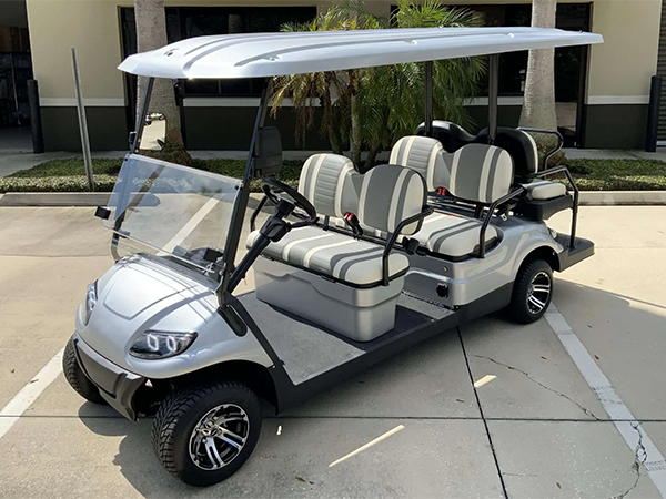 Silver Advanced EV 6 Passenger Golf Cart